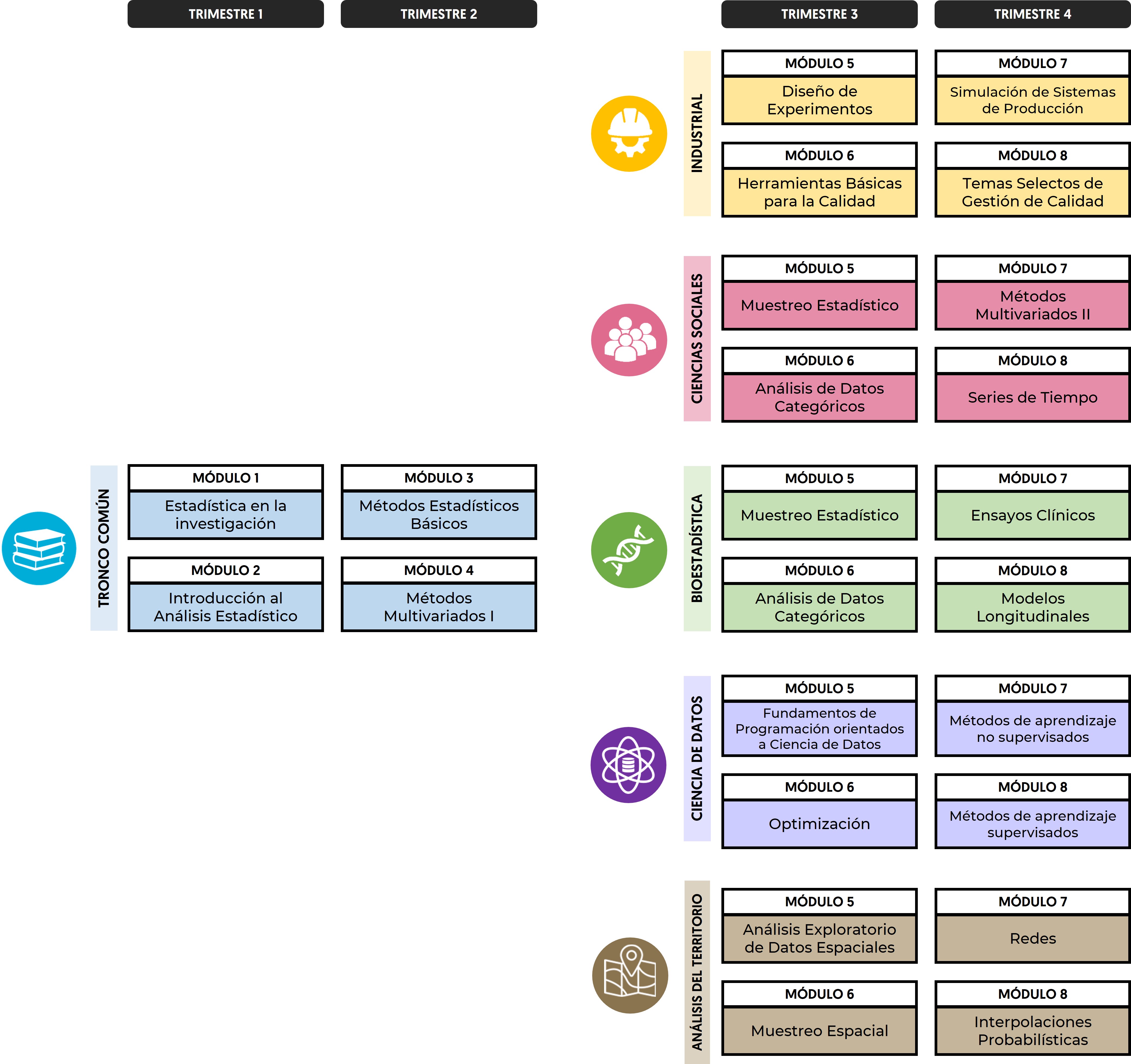 Mapa curricular 2025